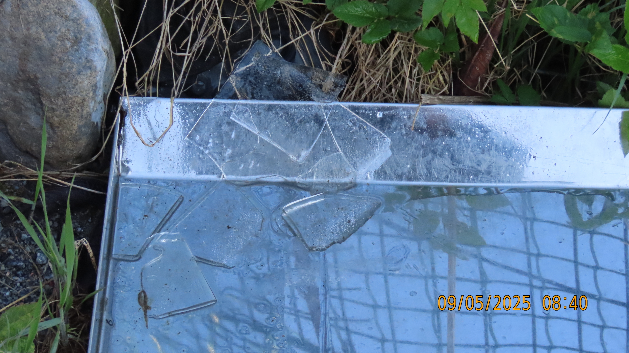 9 мая 2025 в Межстоличье. Вечная память воинам ВОВ