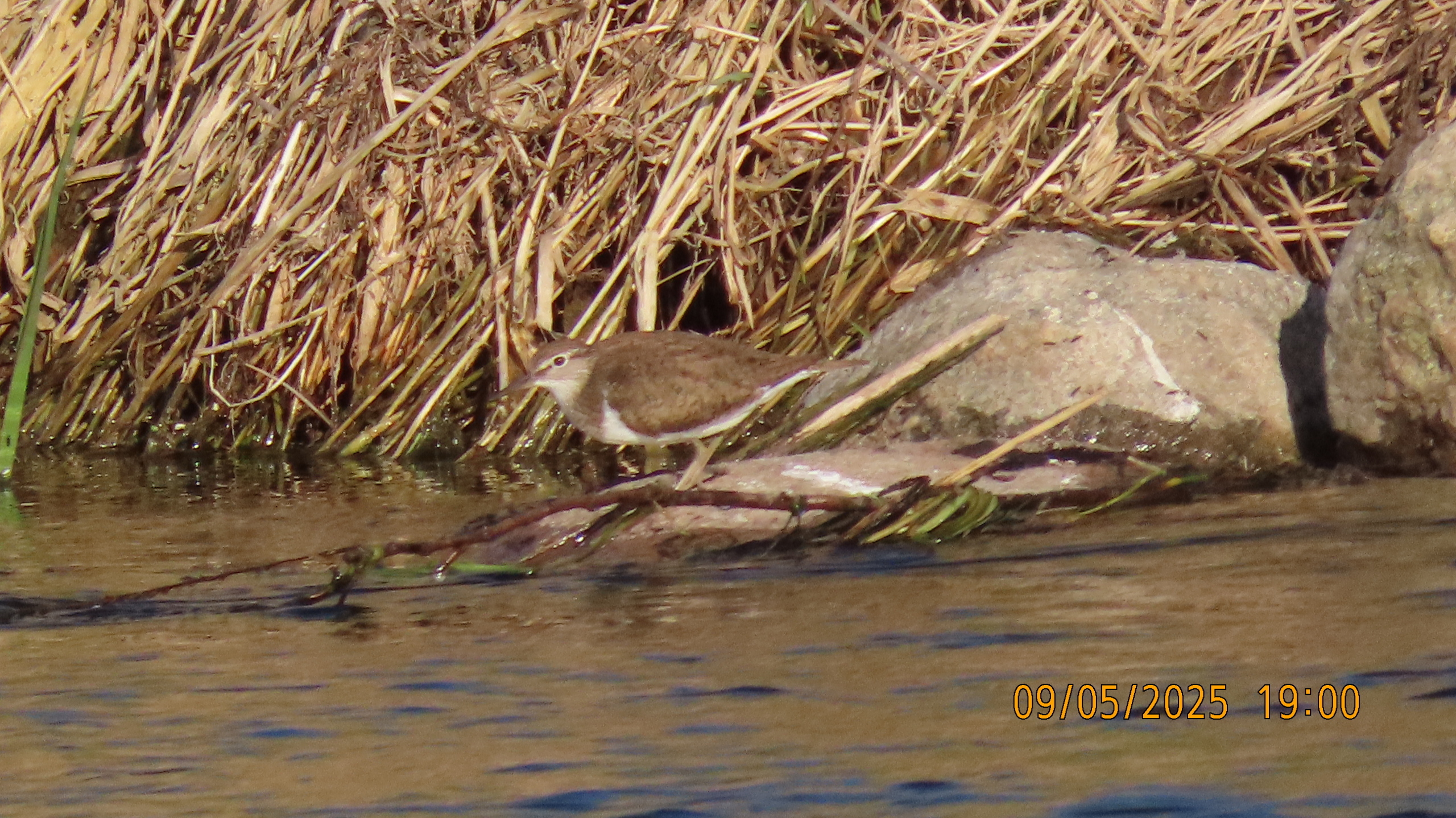9 мая 2025 в Межстоличье. Вечная память воинам ВОВ