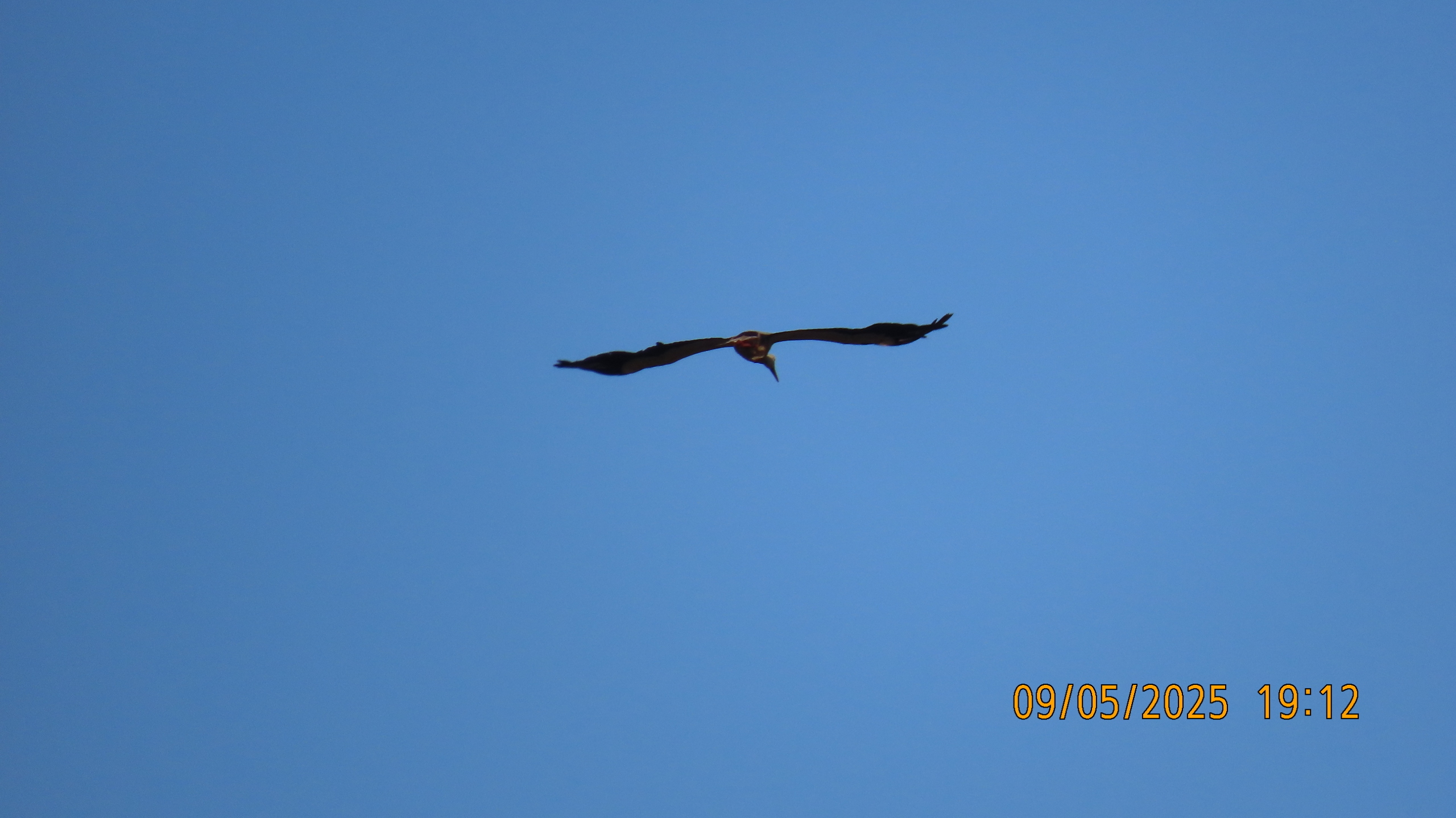 9 мая 2025 в Межстоличье. Вечная память воинам ВОВ