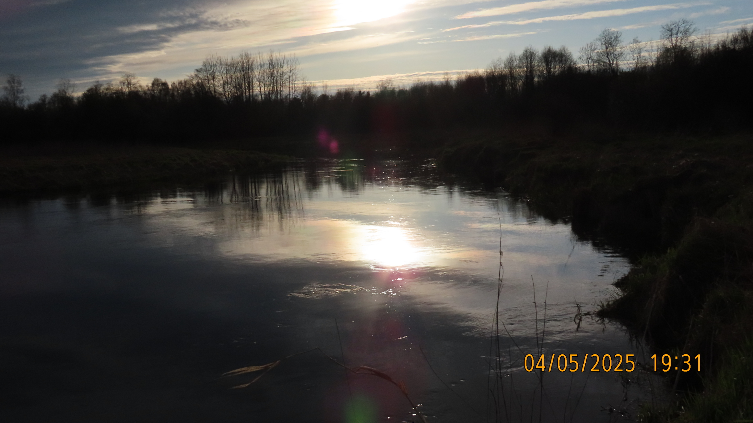 Звездное сияние Ижоры в Межстоличьи.