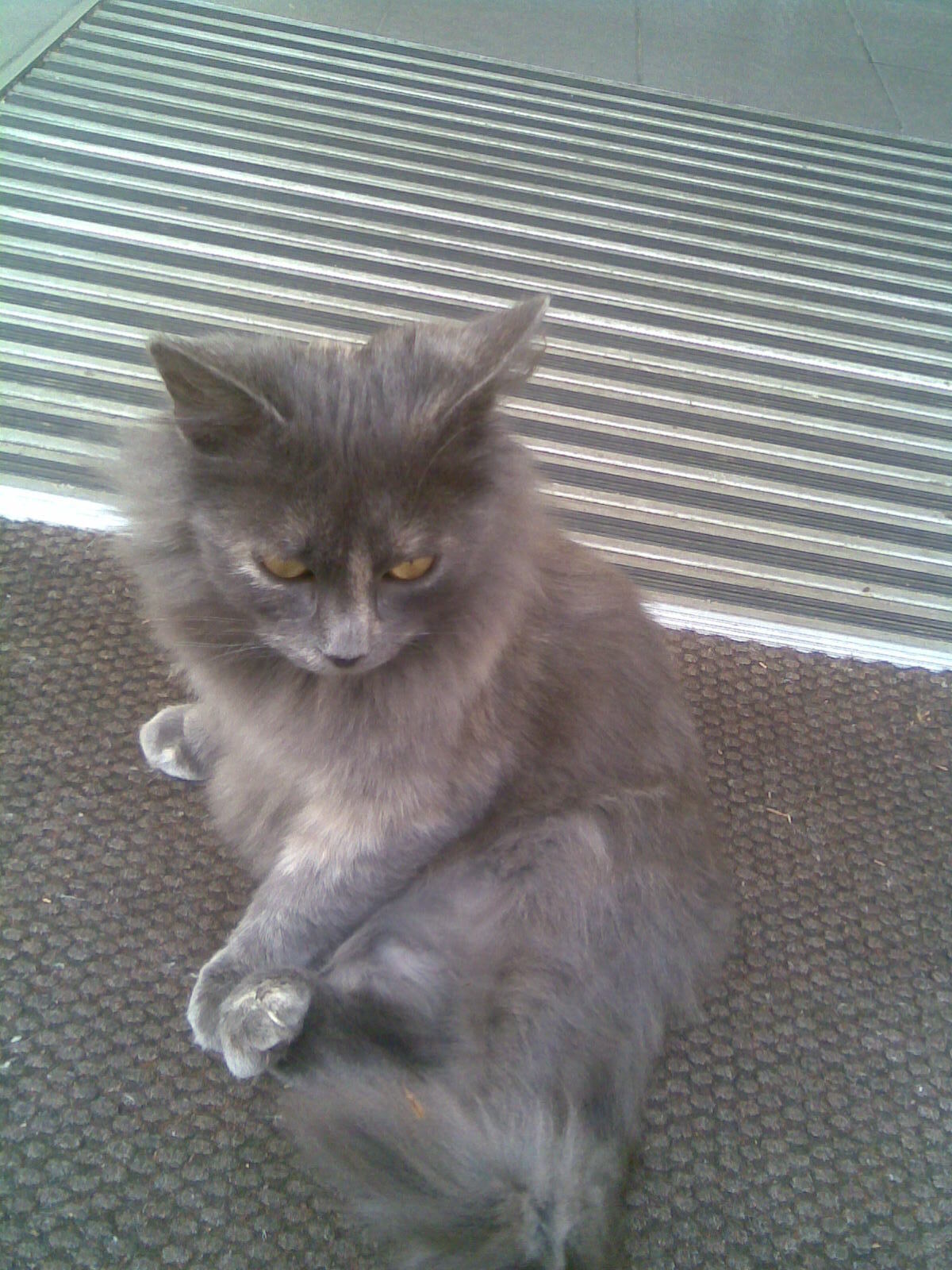 Дорогие гости, мы вас ждали. Отдых и лечение в санаторно-курортном комплексе "Golden Resort"