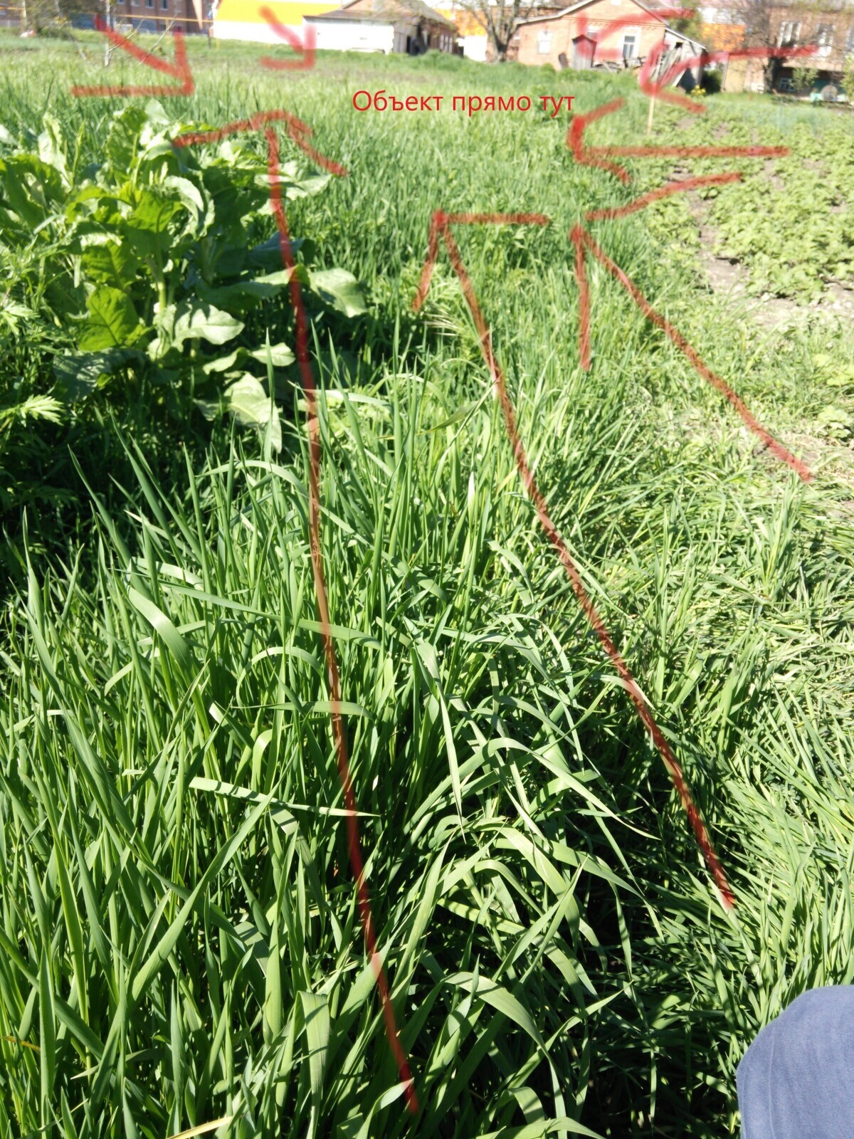 Имеет ли смысл бороться за наследство, если прошло более 20 лет со смерти владелицы недвижимости, дома и земли?