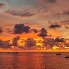 Ник, г. Москва