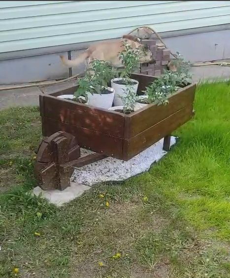 Ошибка при публикации. Но ролик выложил