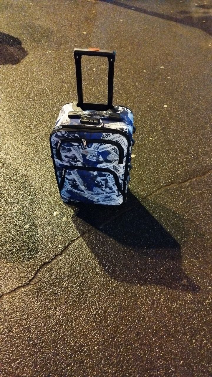 Море или лес, вот в чём вопрос!