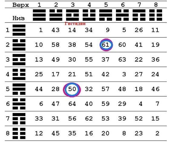 20 аминокислот в таблице И-Цзин