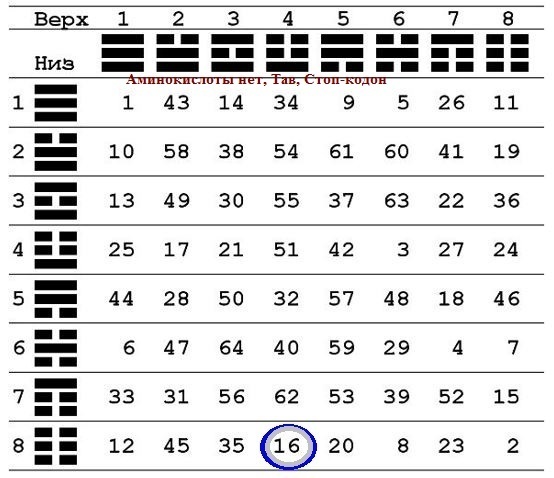 20 аминокислот в таблице И-Цзин