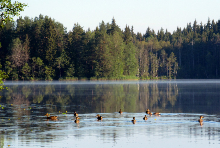 Сенсация на чемпионате: молодой спортсмен побеждает фаворита !