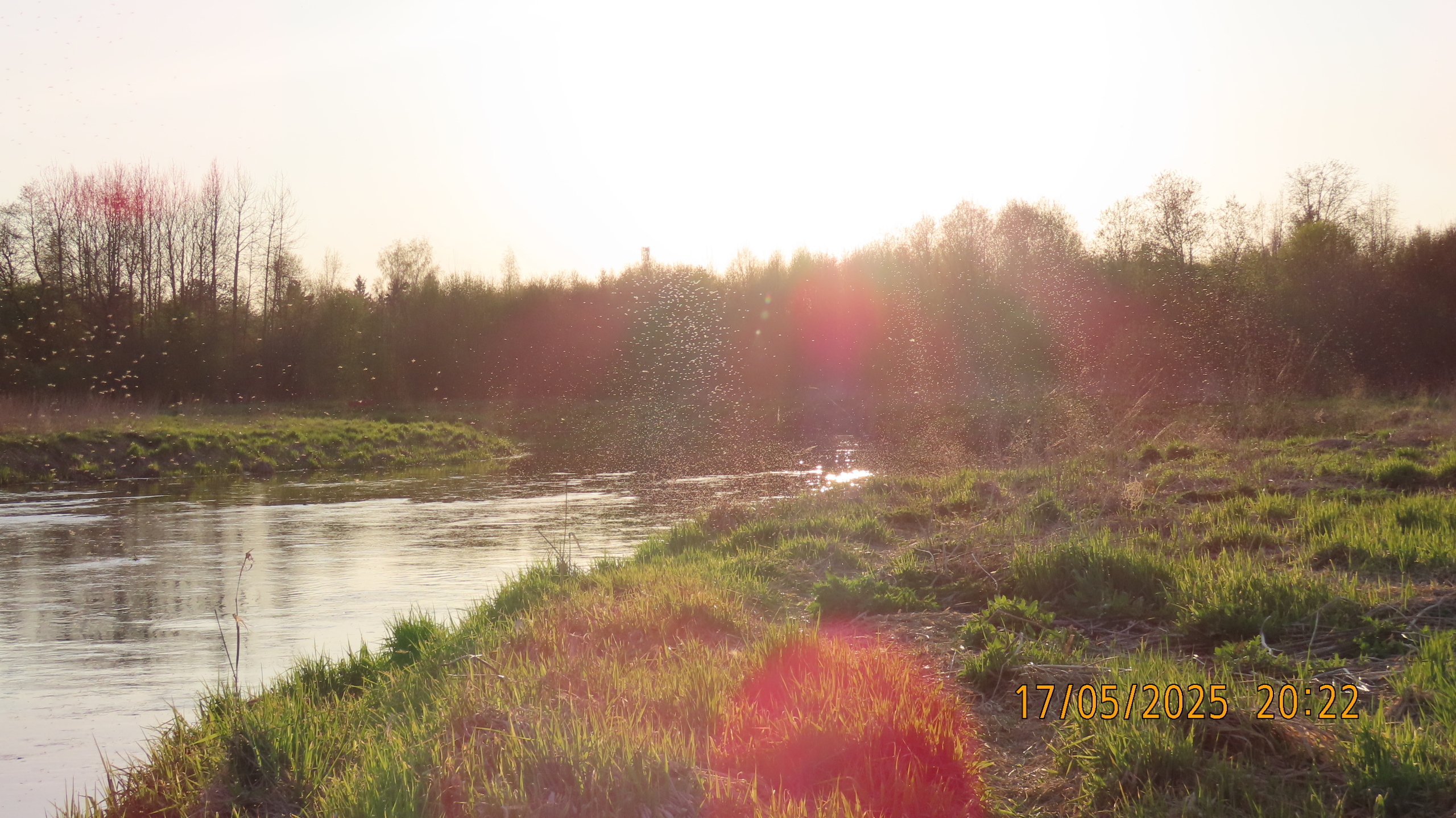 Опять страсти по мангалам.