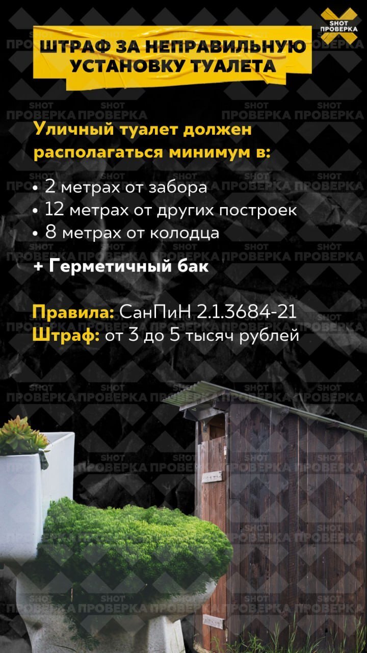 От 2,5 до 5 тысяч рублей за штуку: россиянам грозят крупные штрафы за сбор редких грибов. Какие проходим мимо?