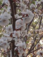 "Красота спасет мир": как мне удалось создать красивую клумбу и небольшой сад под окнами своей квартиры