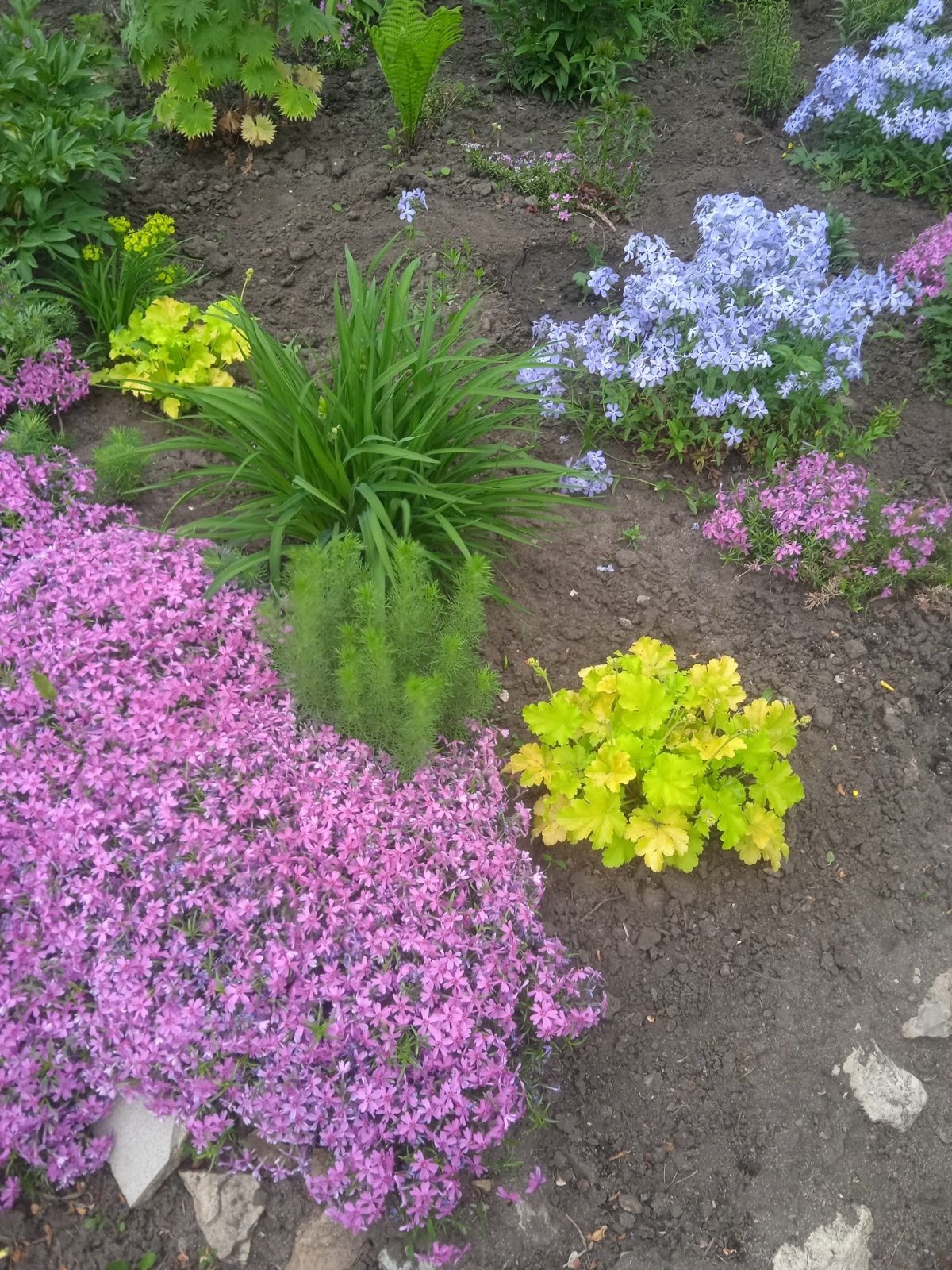 "Красота спасет мир": как мне удалось создать красивую клумбу и небольшой сад под окнами своей квартиры