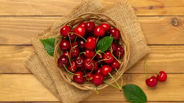 Россиян предупредили о резком подорожании черешни и других ягод. Часть урожая погибла из-за майских заморозков