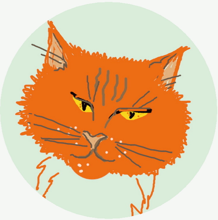 Раскрыта тайна рыжих котов