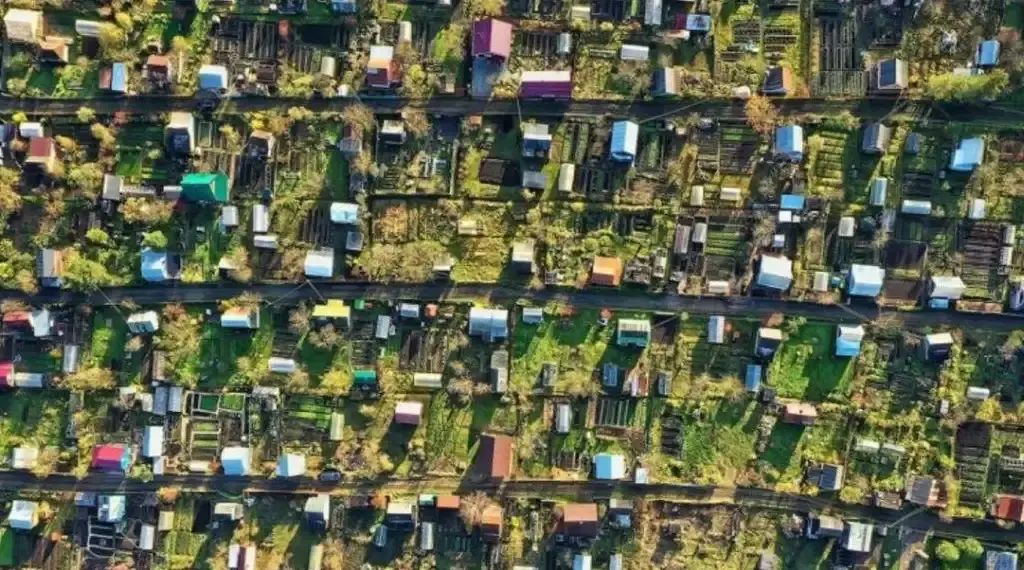 Штрафы за неосвоенные земельные участки до 700 тысяч рублей: как избежать?