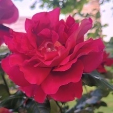 Татьяна, г. Москва