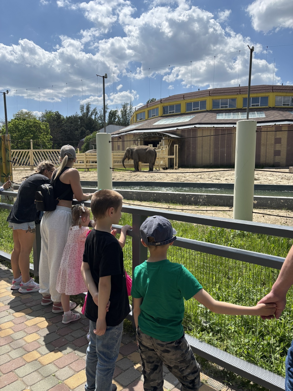 Поездка в Ростовский зоопарк 🐘