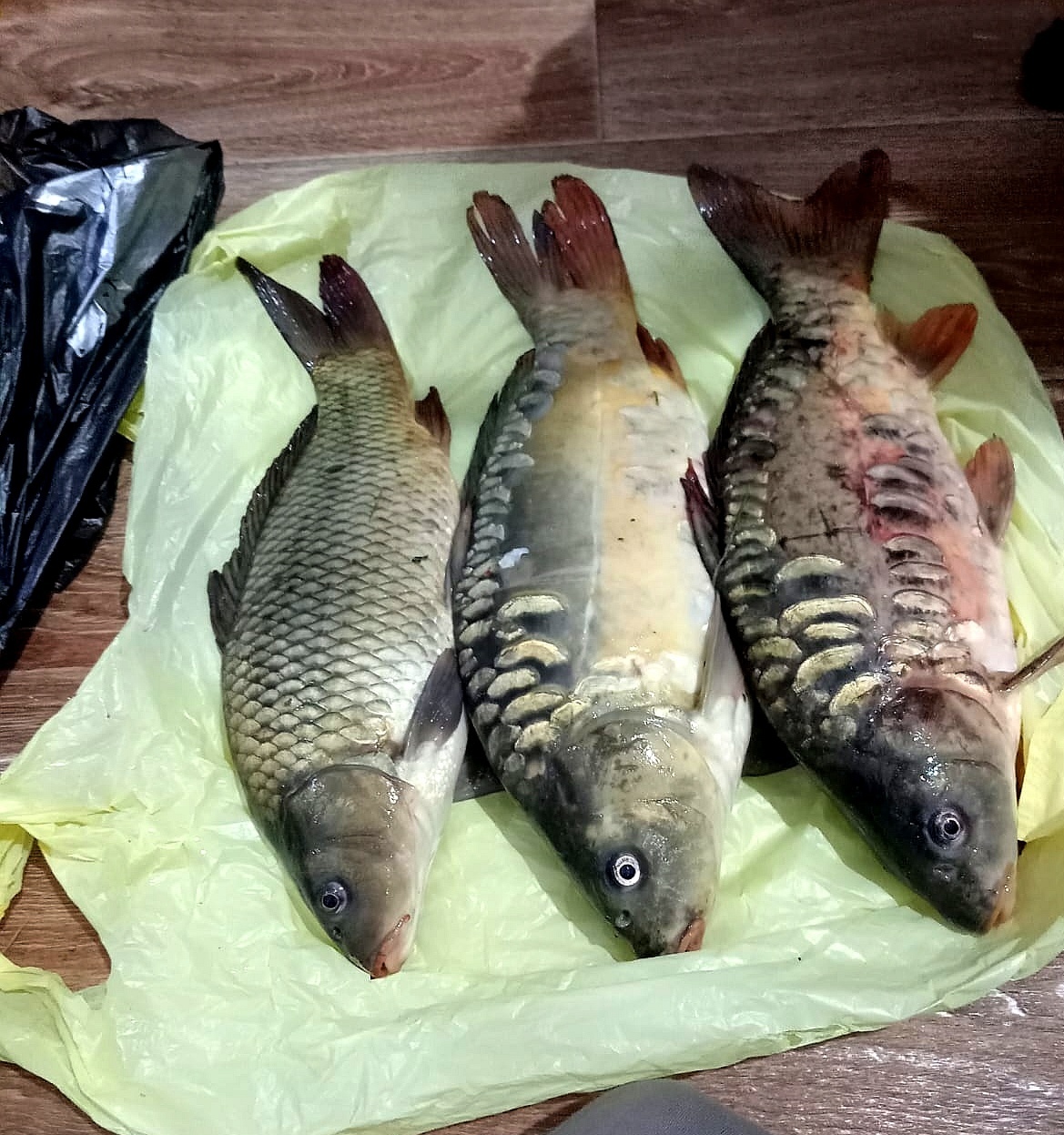 Рыбалка - наша традиция семейного отдыха