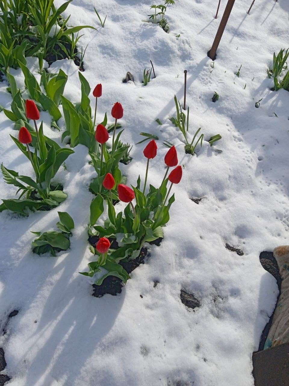 Самые странные способы экономии, с которыми я встречалась