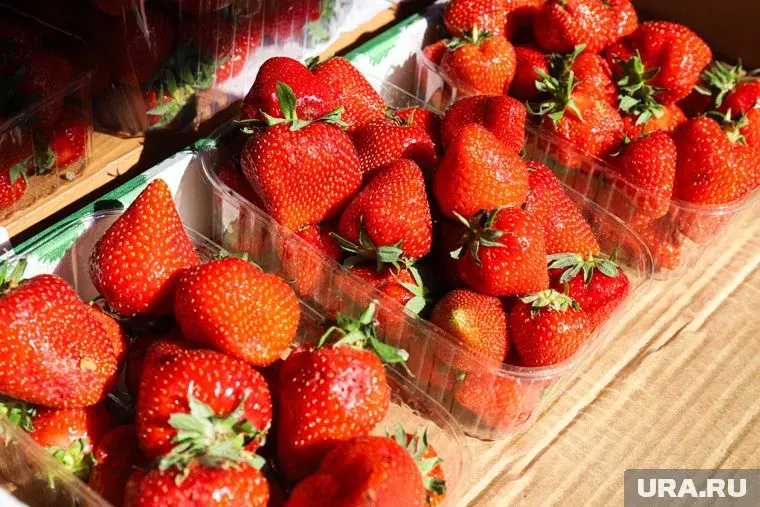 Как выбрать качественную клубнику