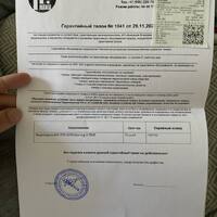 IMG_2656.jpeg