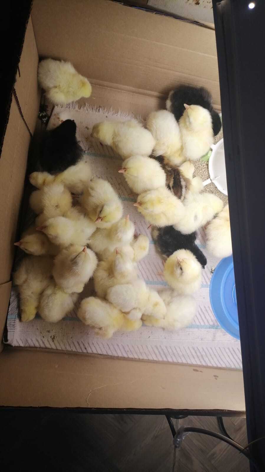 Кто в город, а мы в село! Хотите с нами?