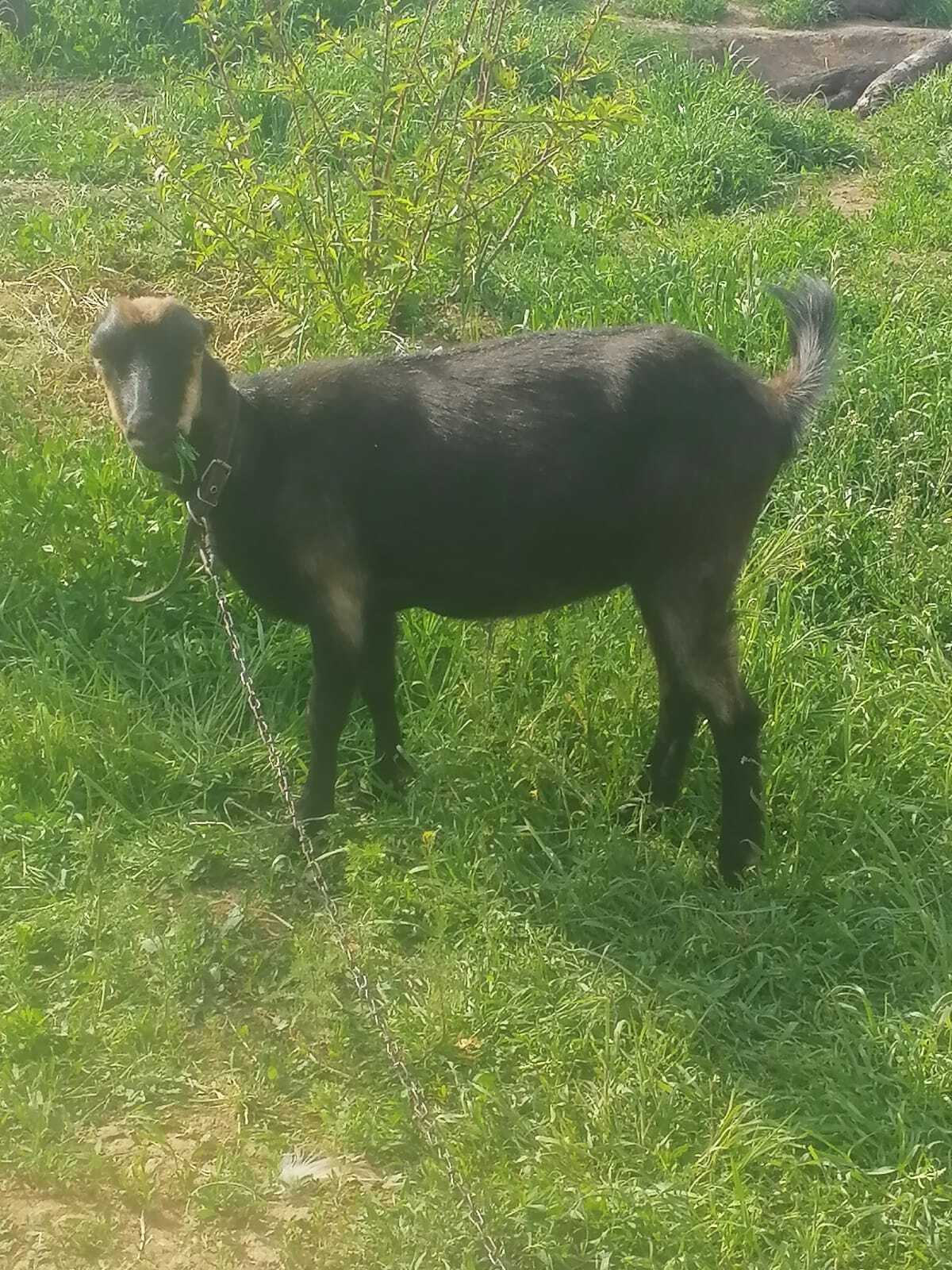 Кто в город, а мы в село! Хотите с нами?