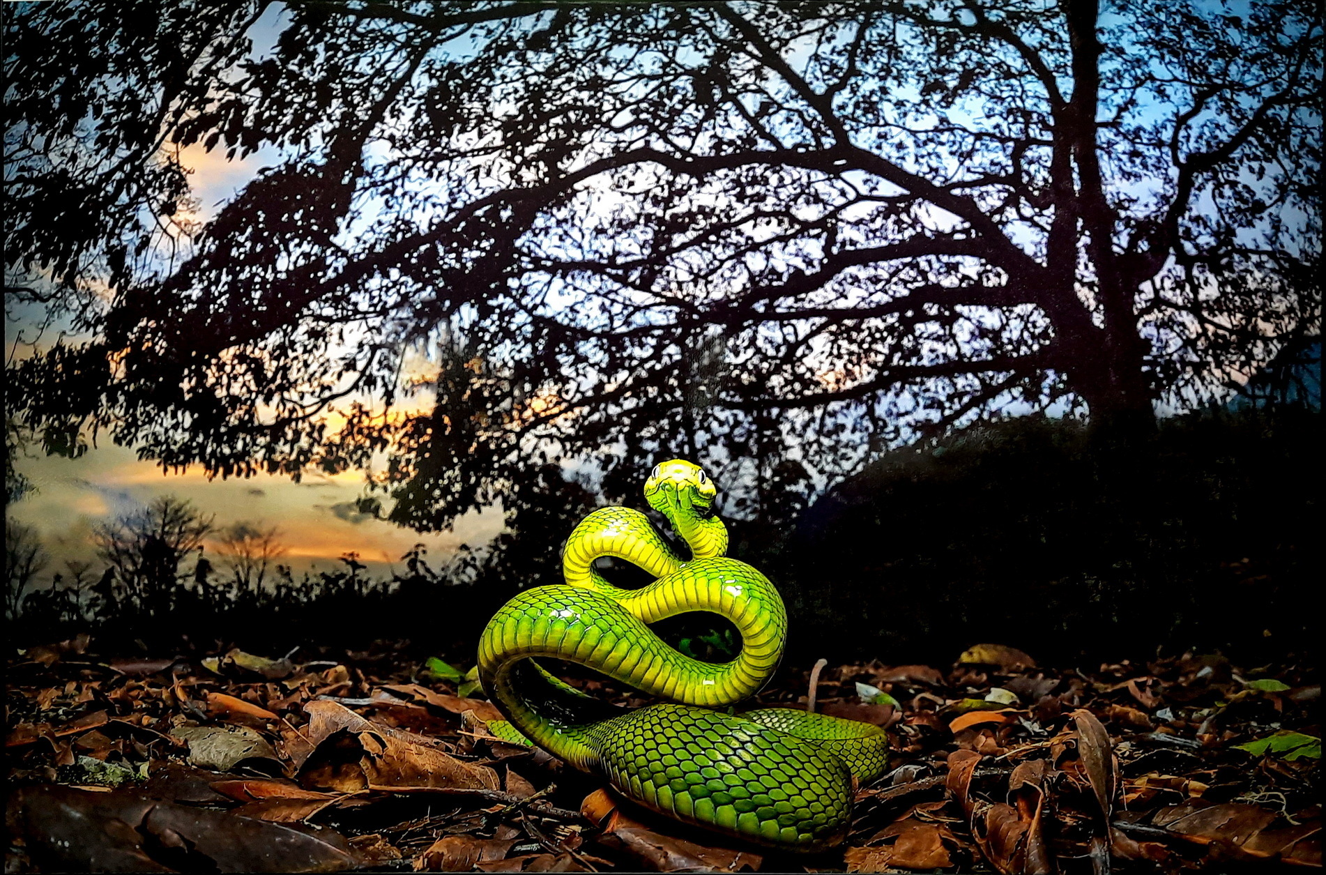 История, рассказанная по дороге на дачу. Часть 1