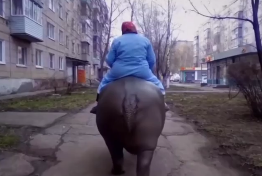 Не кошка и не собака: 72-летняя Валентина Ивановна выгуливает бегемота во дворе