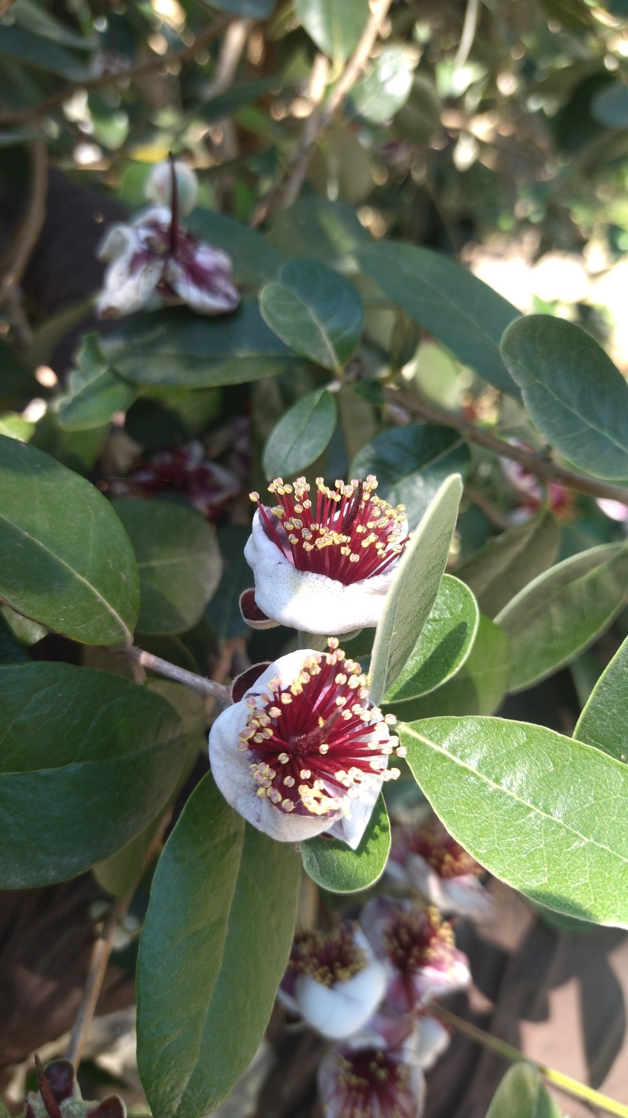 Рим в конце мая