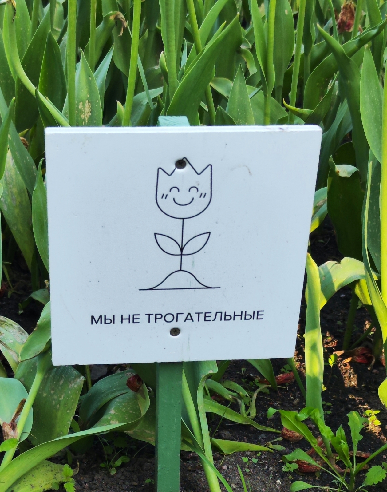 ЦПКиО на Елагином острове. Часть 2