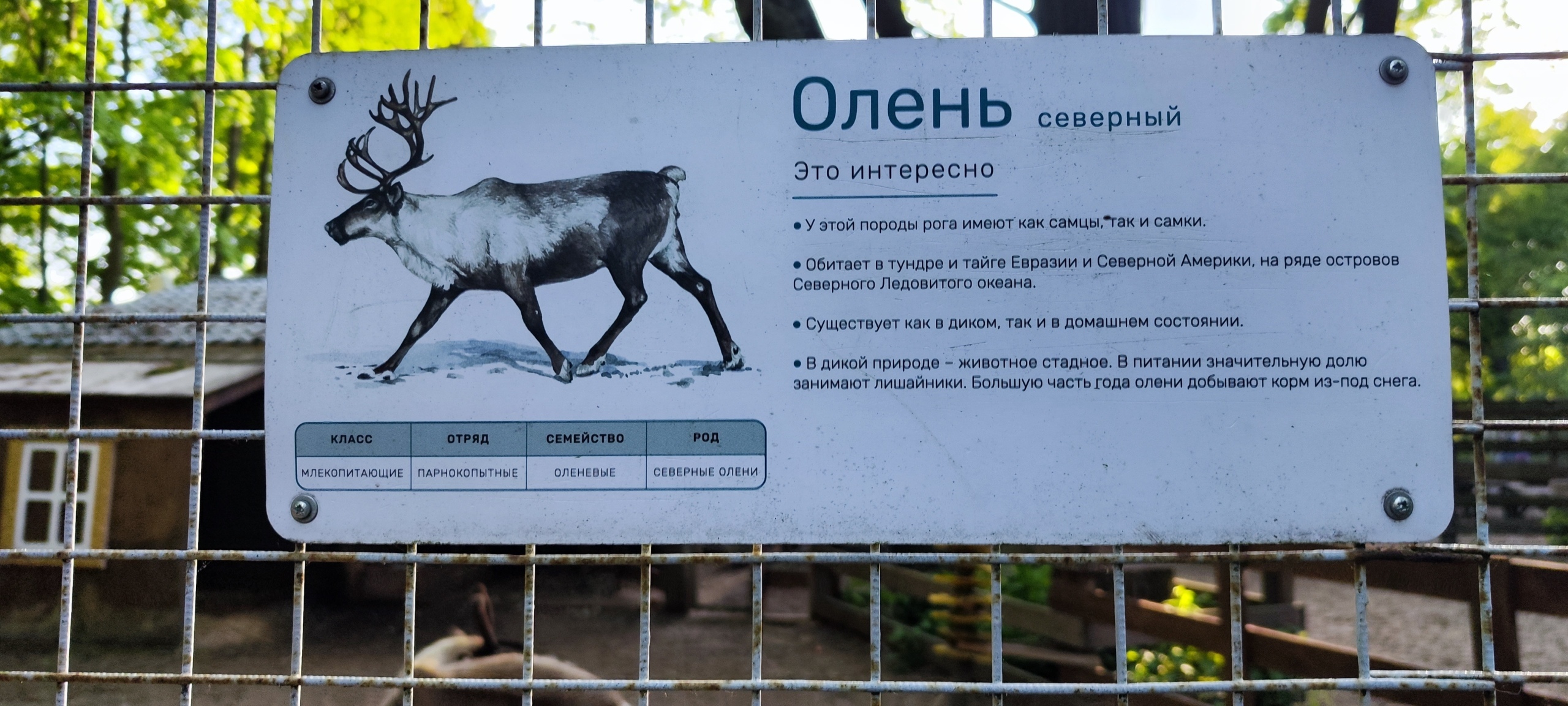 ЦПКиО на Елагином острове. Часть 2