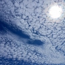 Крым Ирина, г. Симферополь