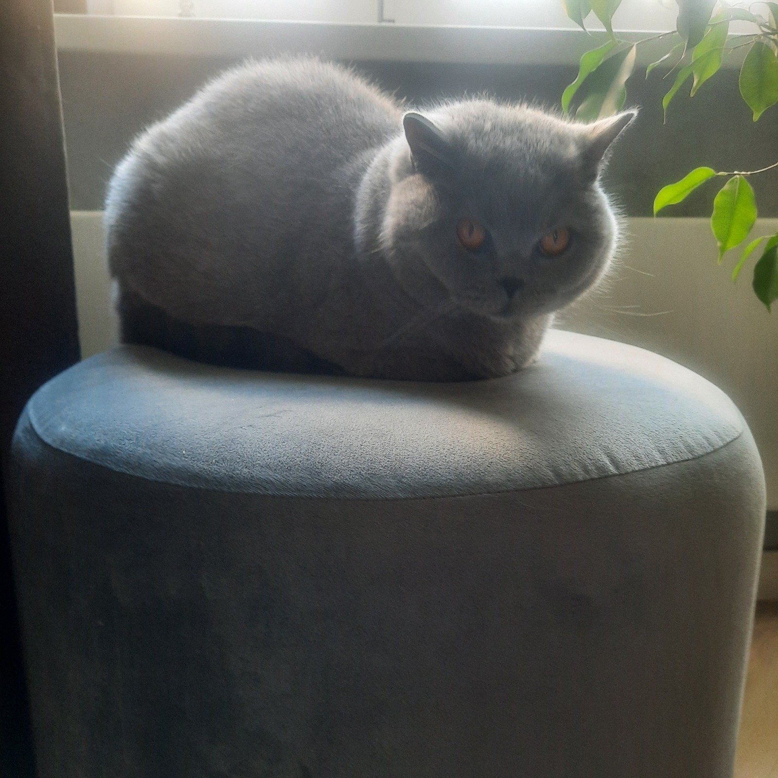 Осторожно, мошенники. "Безопасные счета"