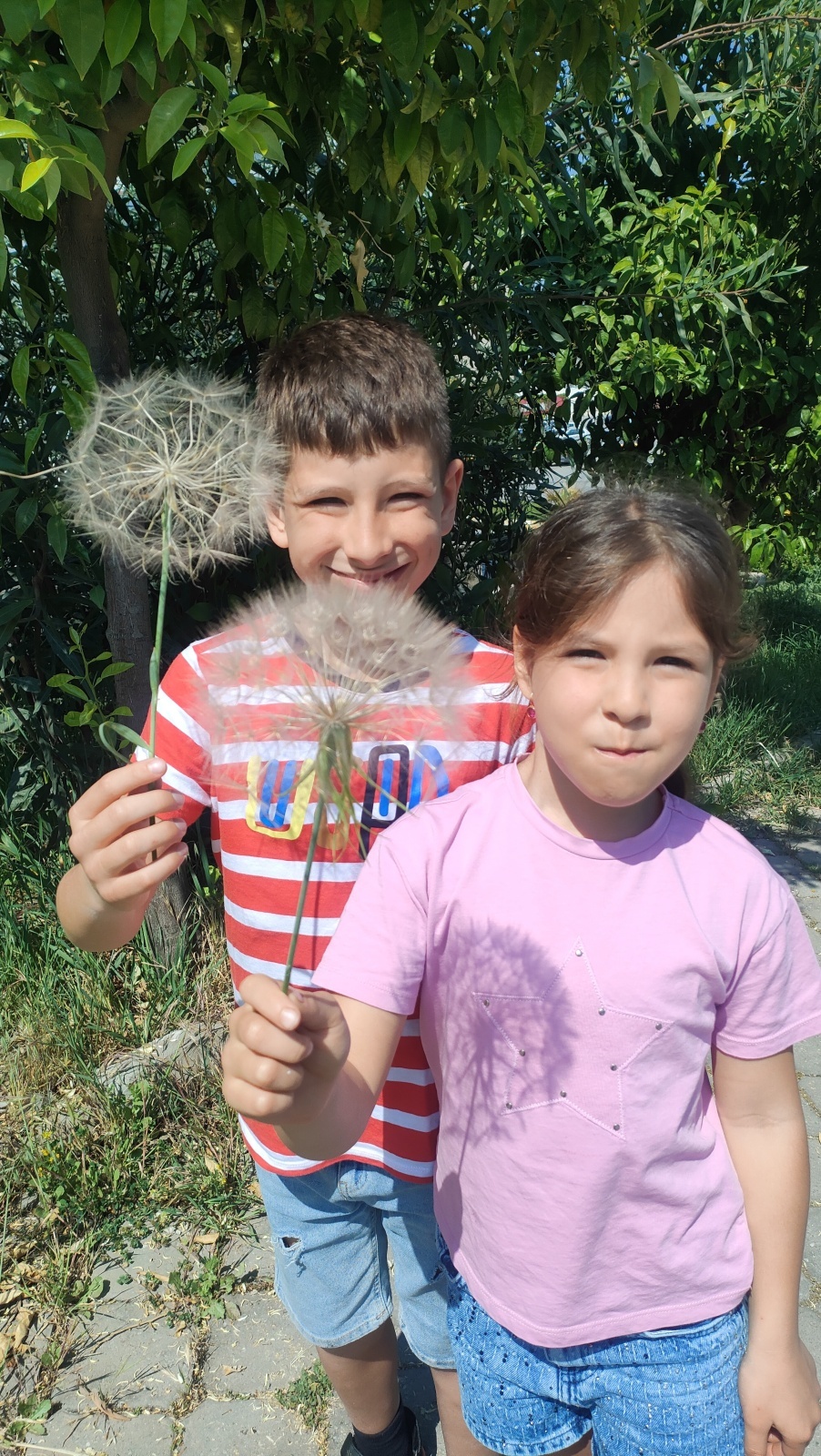 Турецкая традиция, которая вызывает у меня горечь, слёзы и низкое давление