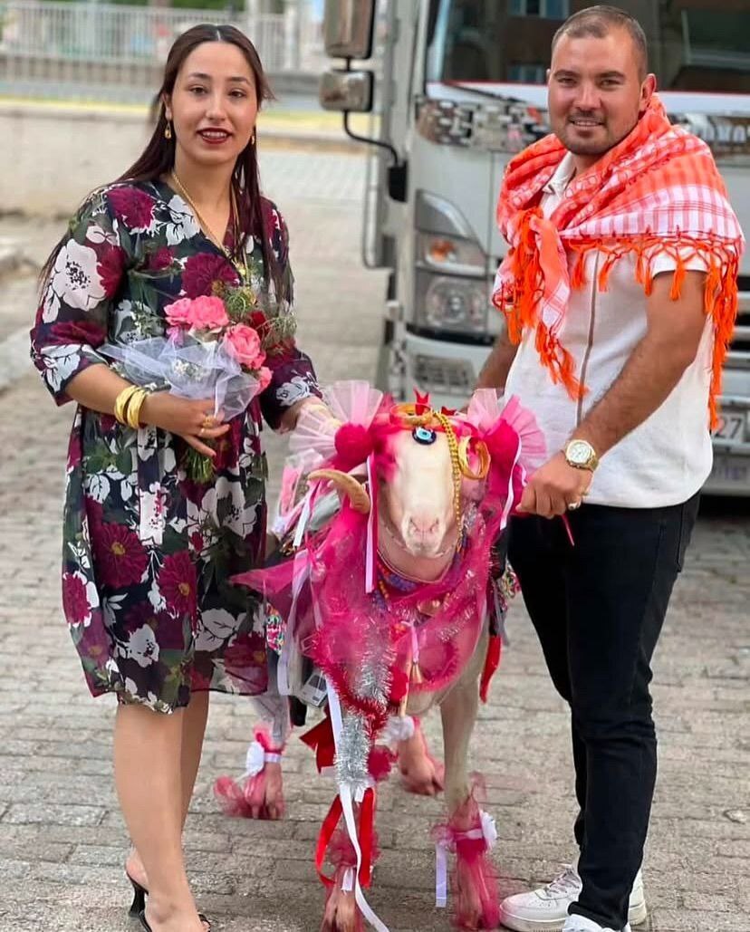 Турецкая традиция, которая вызывает у меня горечь, слёзы и низкое давление