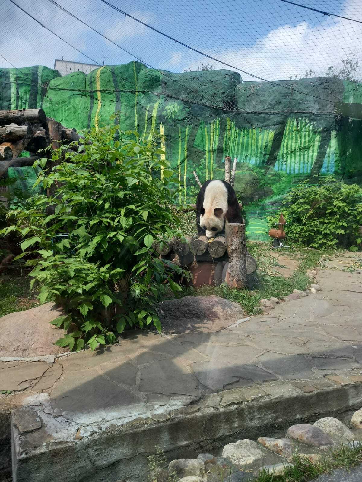 Собираетесь в зоопарк с ребёнком? Возьмите с собой форму-8