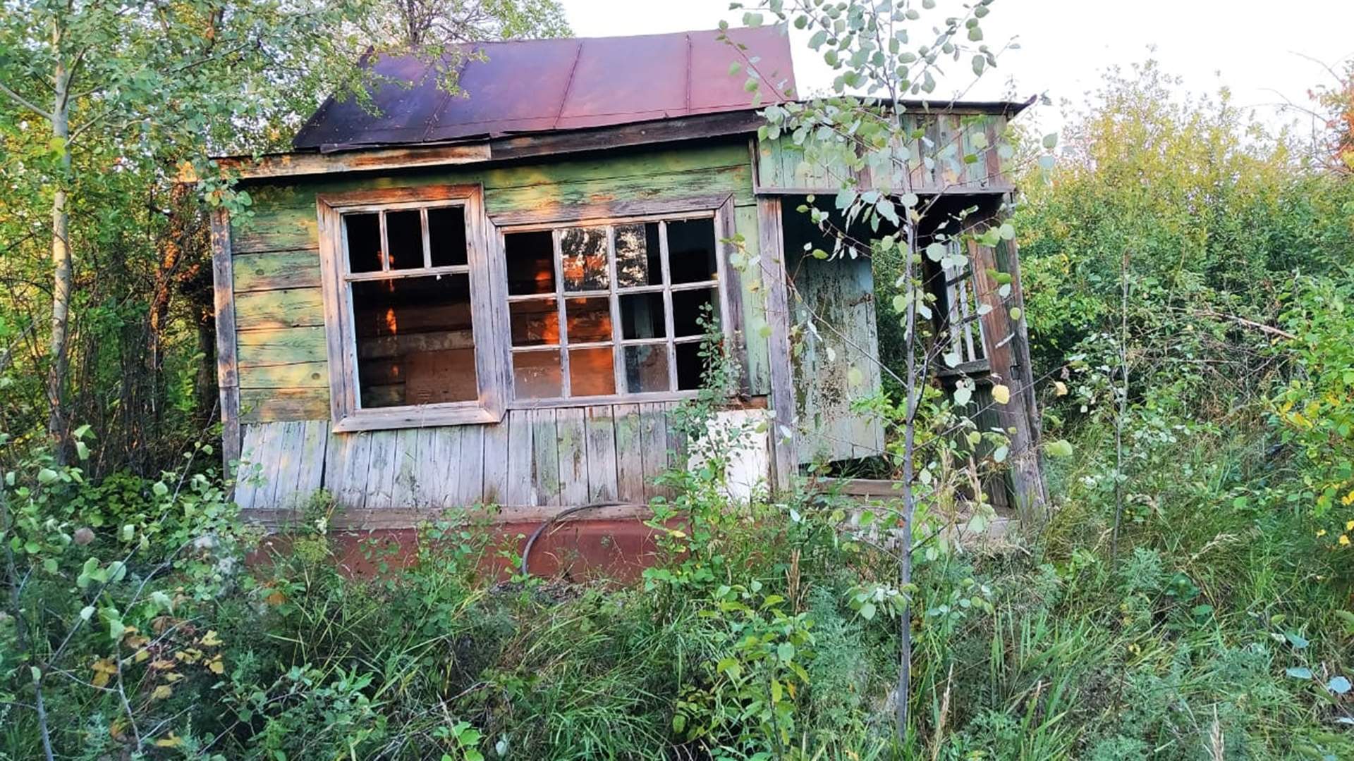 Внимание владельцам земельных участков! Новые правила «заброшенной земли» вступают в силу уже совсем скоро