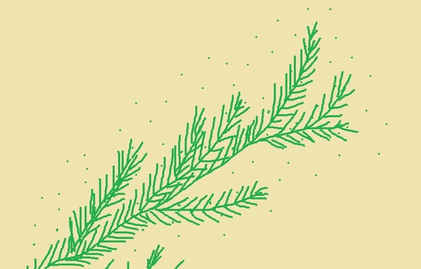 Можжевельник - хвойный маг, который лечит, убивает и сводит с ума