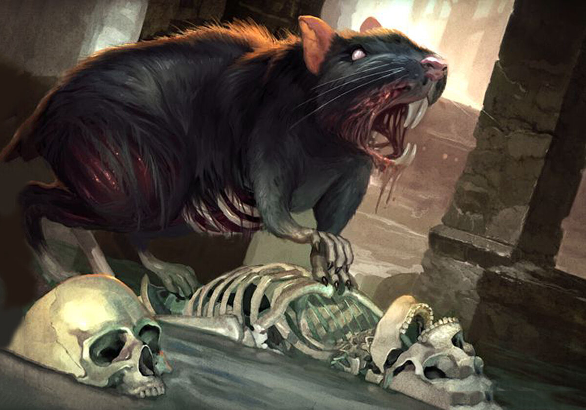 Магия, жизнь, сон в руку и одна очень страшная история! Или как меня чуть не съели...