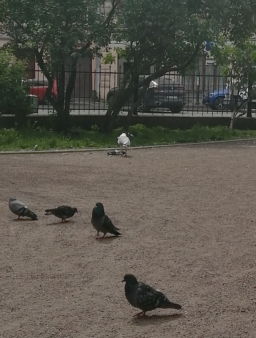 Это был странный день. 2 июня