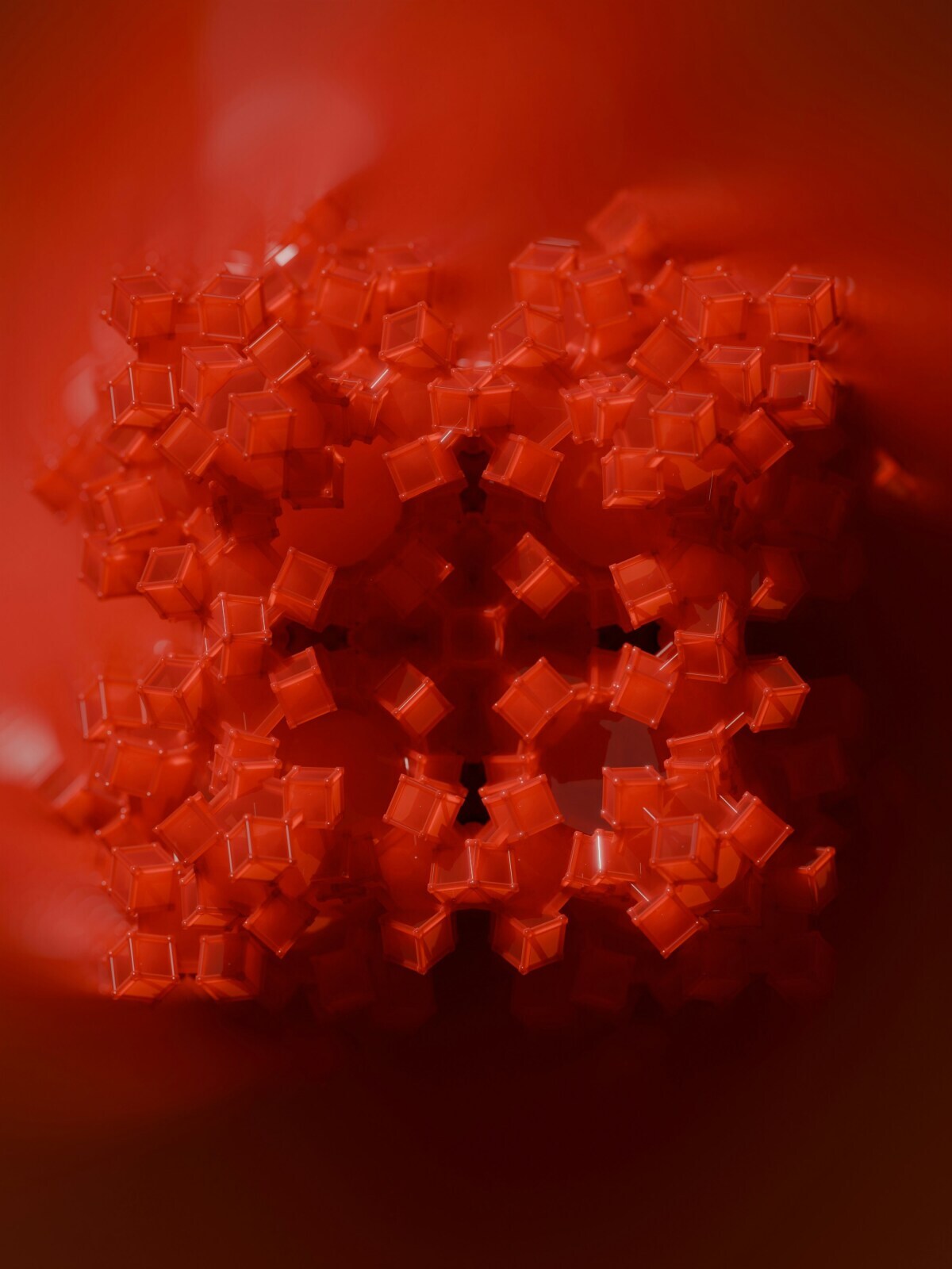 Новый коронавирус HKU5-CoV-2