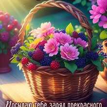 Ольга Новикова, г. Воронеж