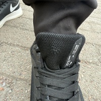 IMG_1641.jpeg