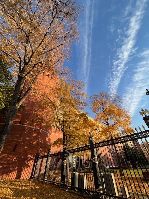 День России — праздник, объединяющий сердца