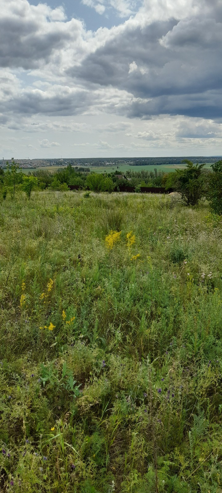 Зачем нужно проверять земельные участки перед покупкой. Истрия из практики.