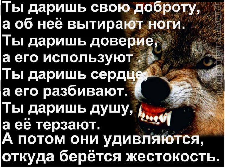 Разумный человек животное собака