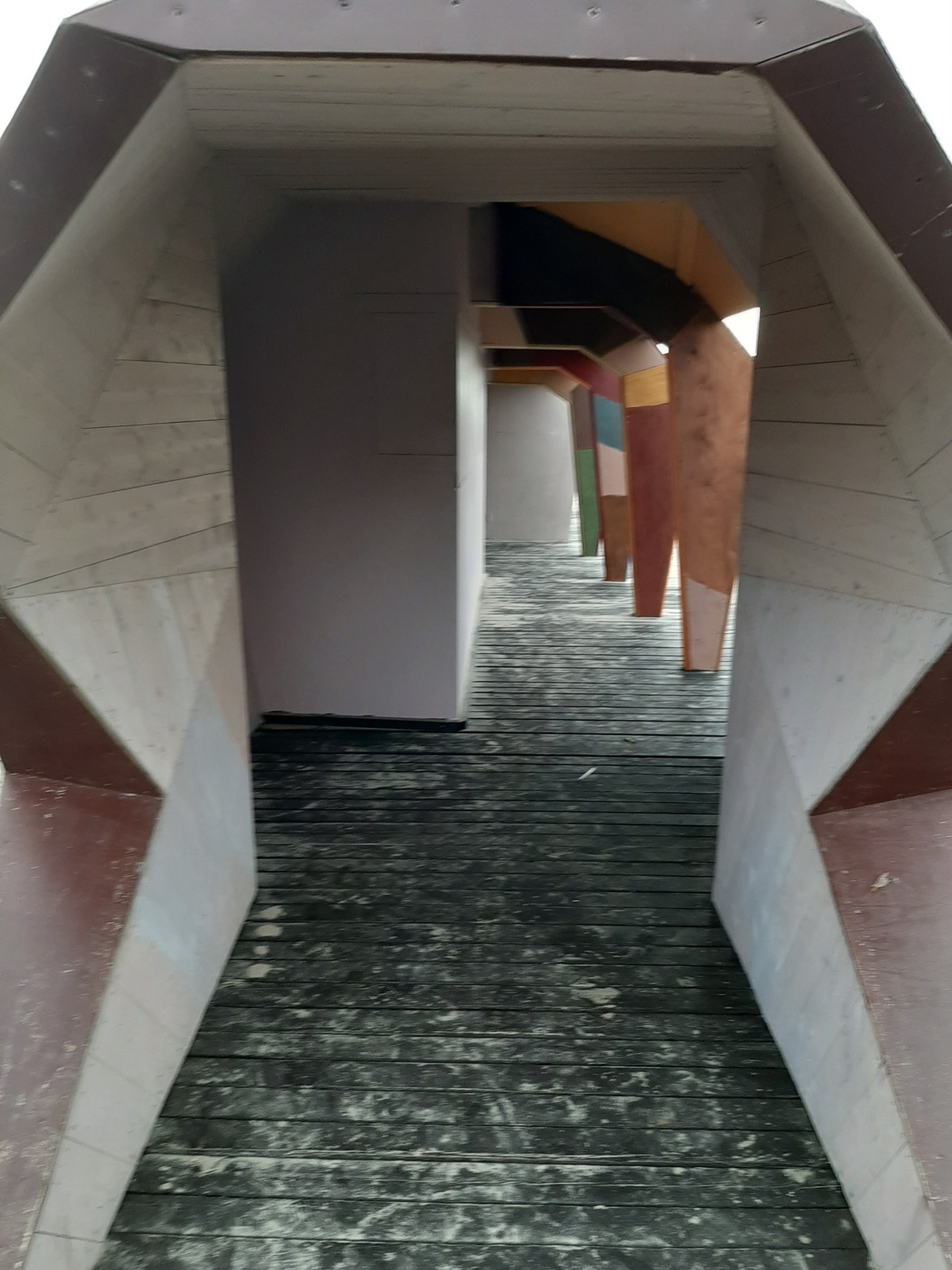 Прогулки у Белого моря: мои впечатления. Фотоотчет.