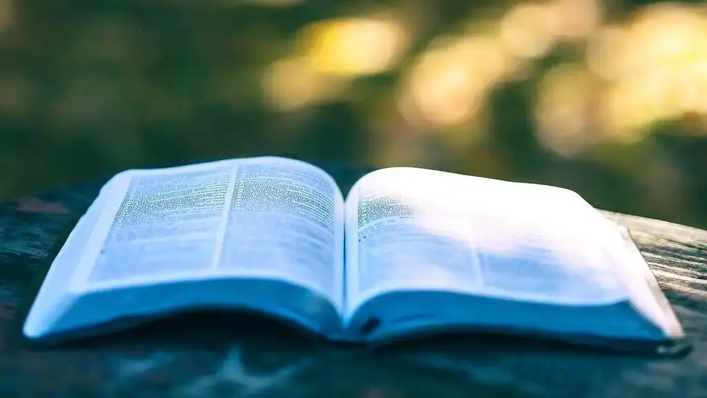 Как новый закон защитит русское слово?