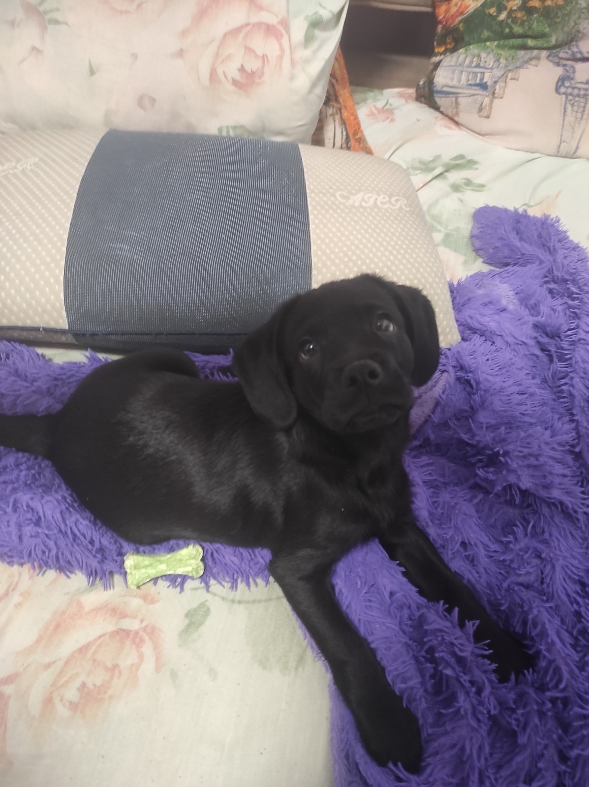 Как решится? Или любовь важнее себя!!!